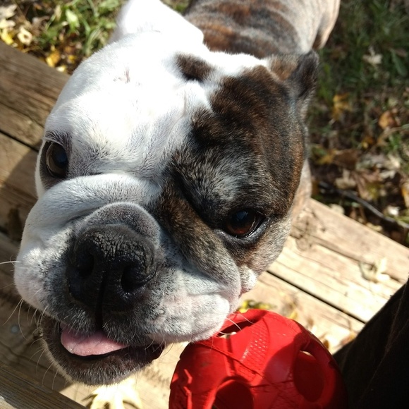 Meet your Posher, Seng - Picture 4 of 7